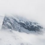 study guide for biology midterm