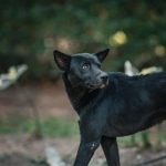 rubbermaid storage shed 7×7 instructions